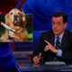 Illustration for article titled Stephen Colbert reported to be the top choice to take David Letterman's job